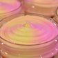 Fruit Loops Whipped Soap - Small Batch Soaps