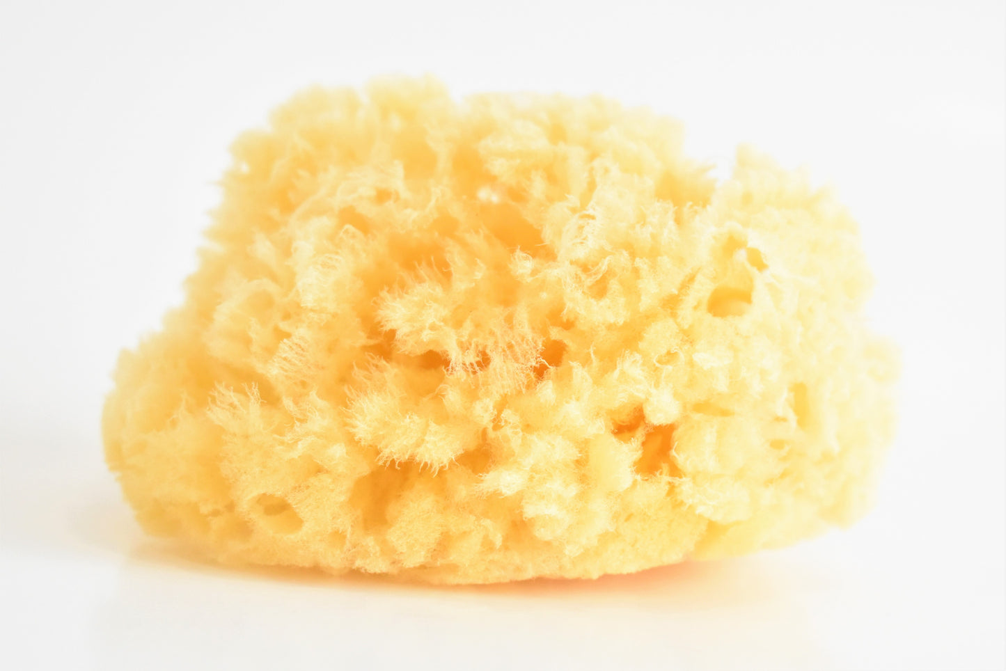 natural sea sponge - Small Batch Soaps