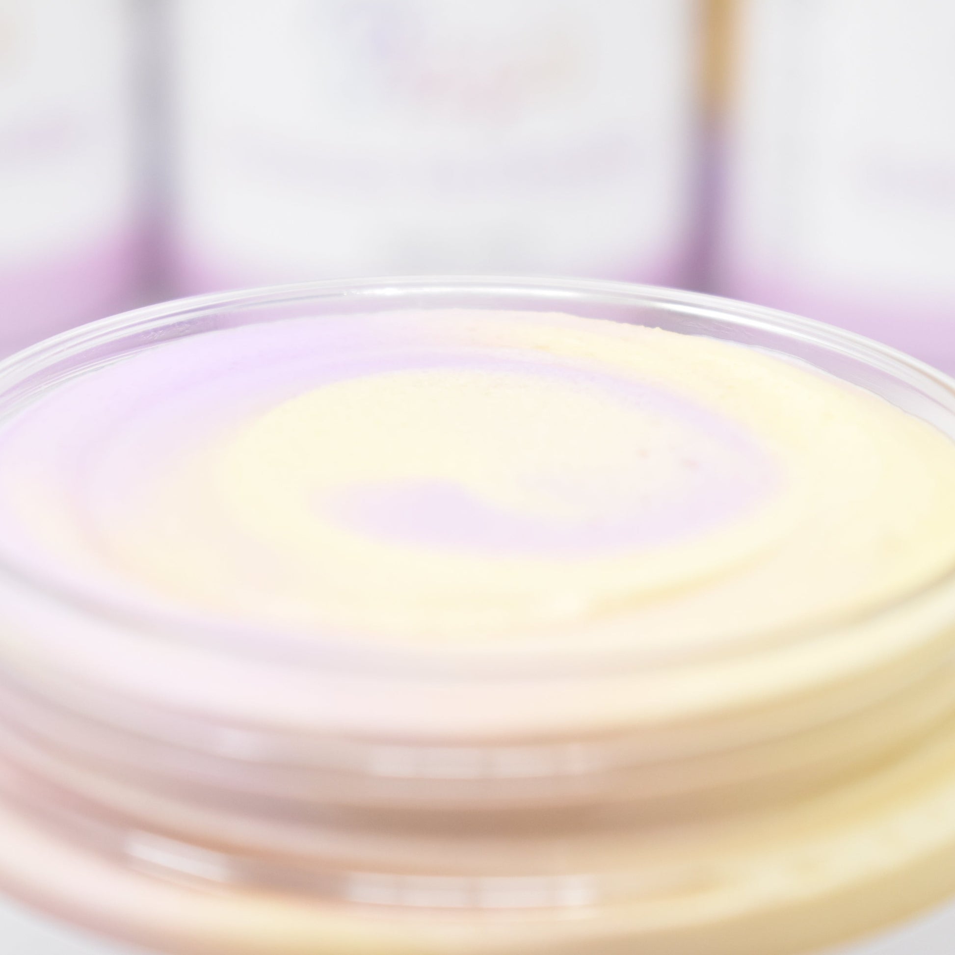 Lemon Lavender Whipped Soap - Small Batch Soaps